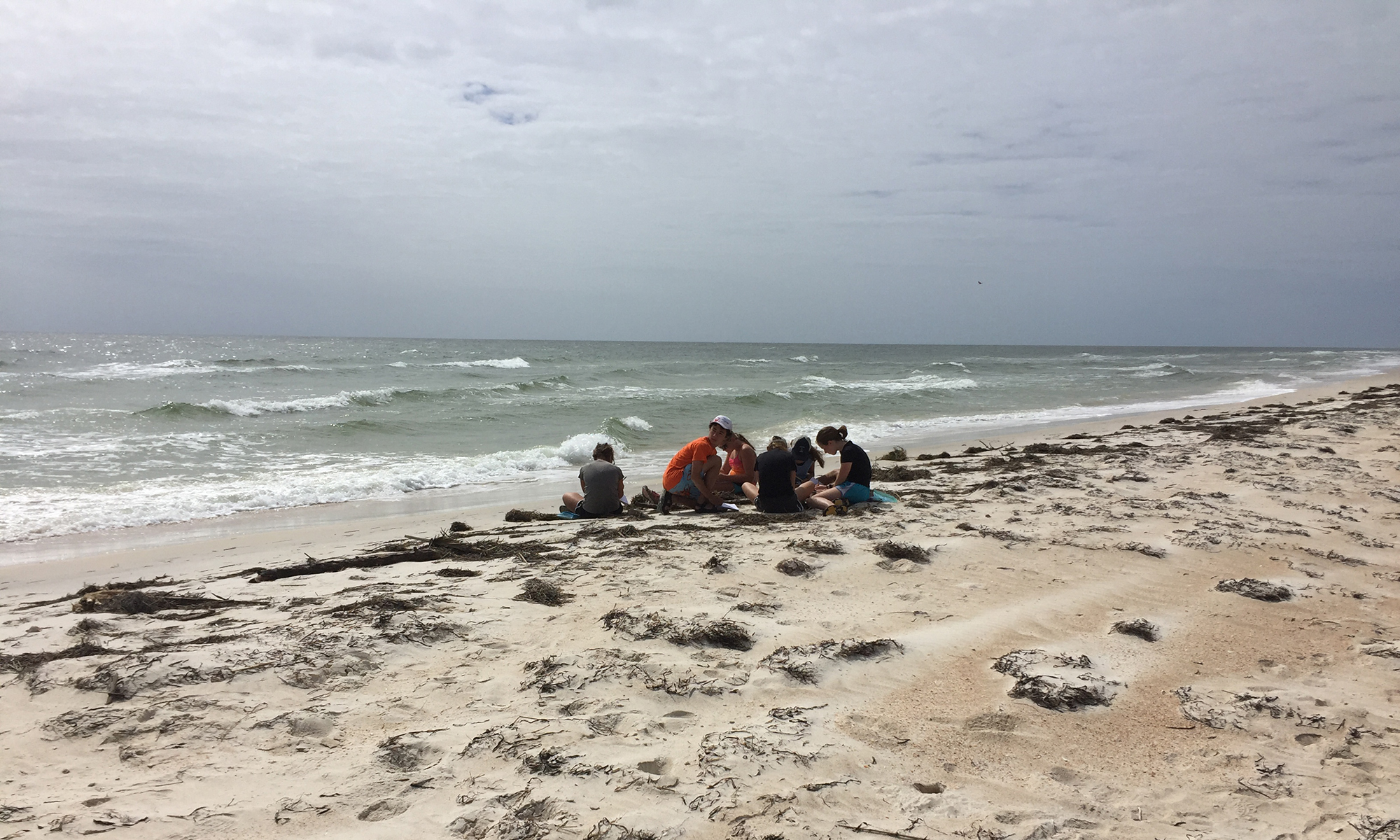 Field Ecology