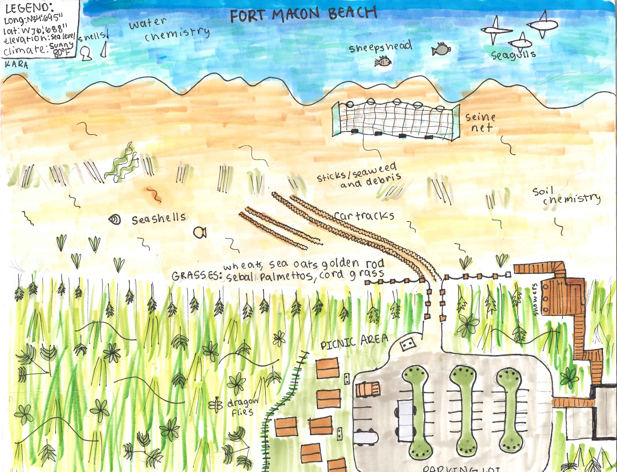 Fort Macon Satellite View