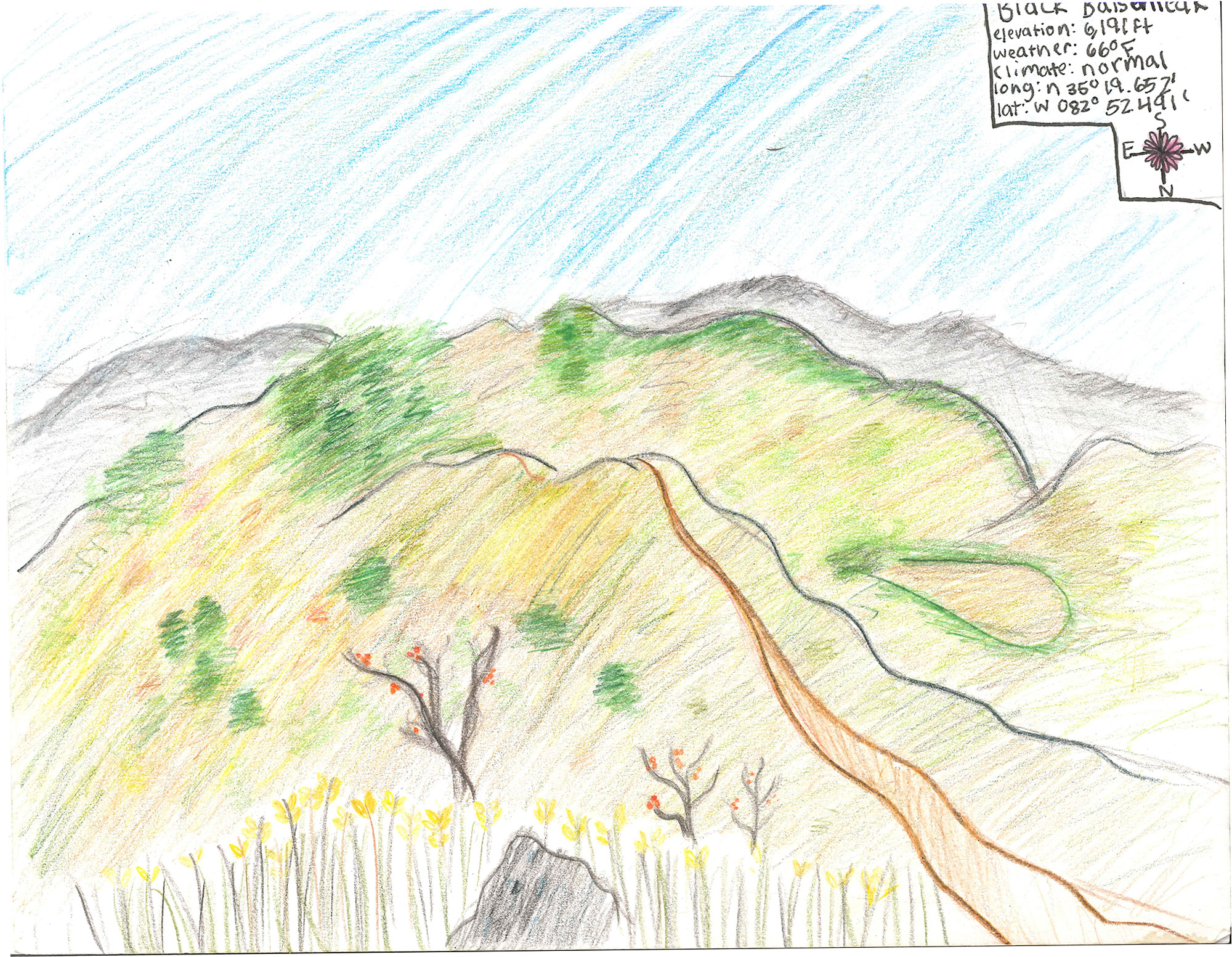 Field Ecology