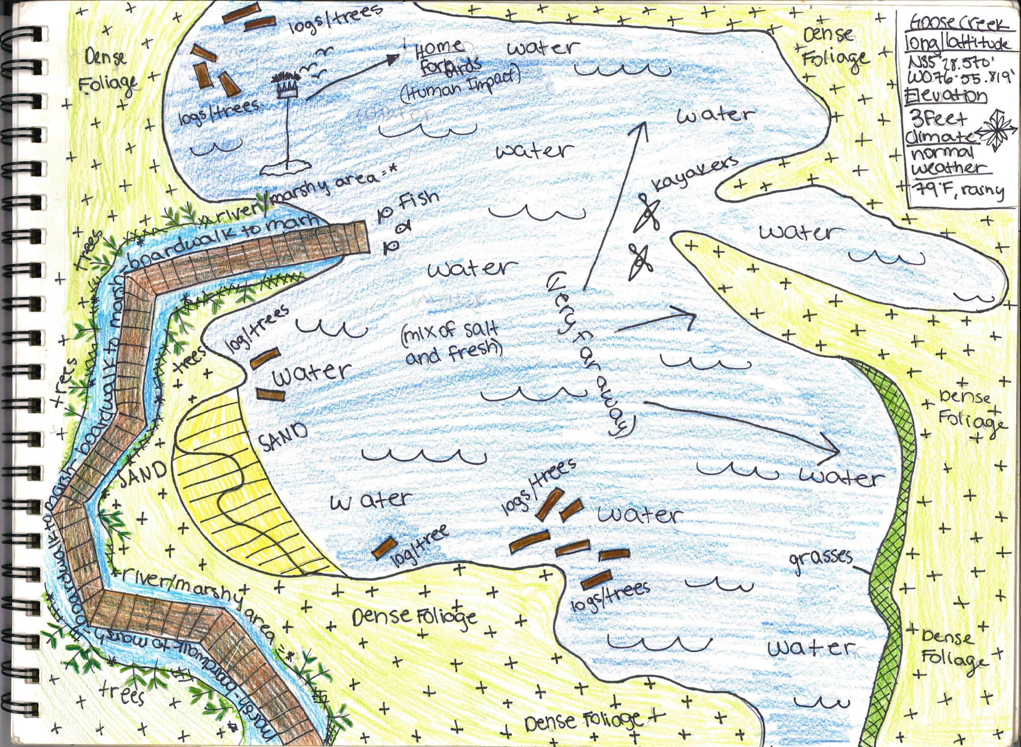 Goose Creek Satellite View